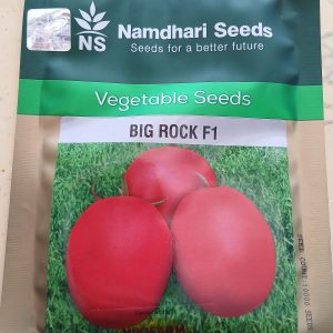 TOMATO BIG ROCK F1 10 000 SEEDS