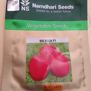 TOMATO BIG ROCK 1000 SEEDS
