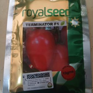 TOMATO TERMINATOR F1 10G