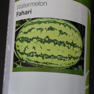 WATERMELON FAHARI F1 5000 SEEDS