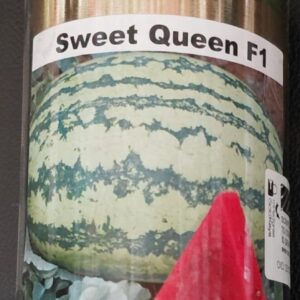 WATERMELON SWEET QUEEN F1 500G