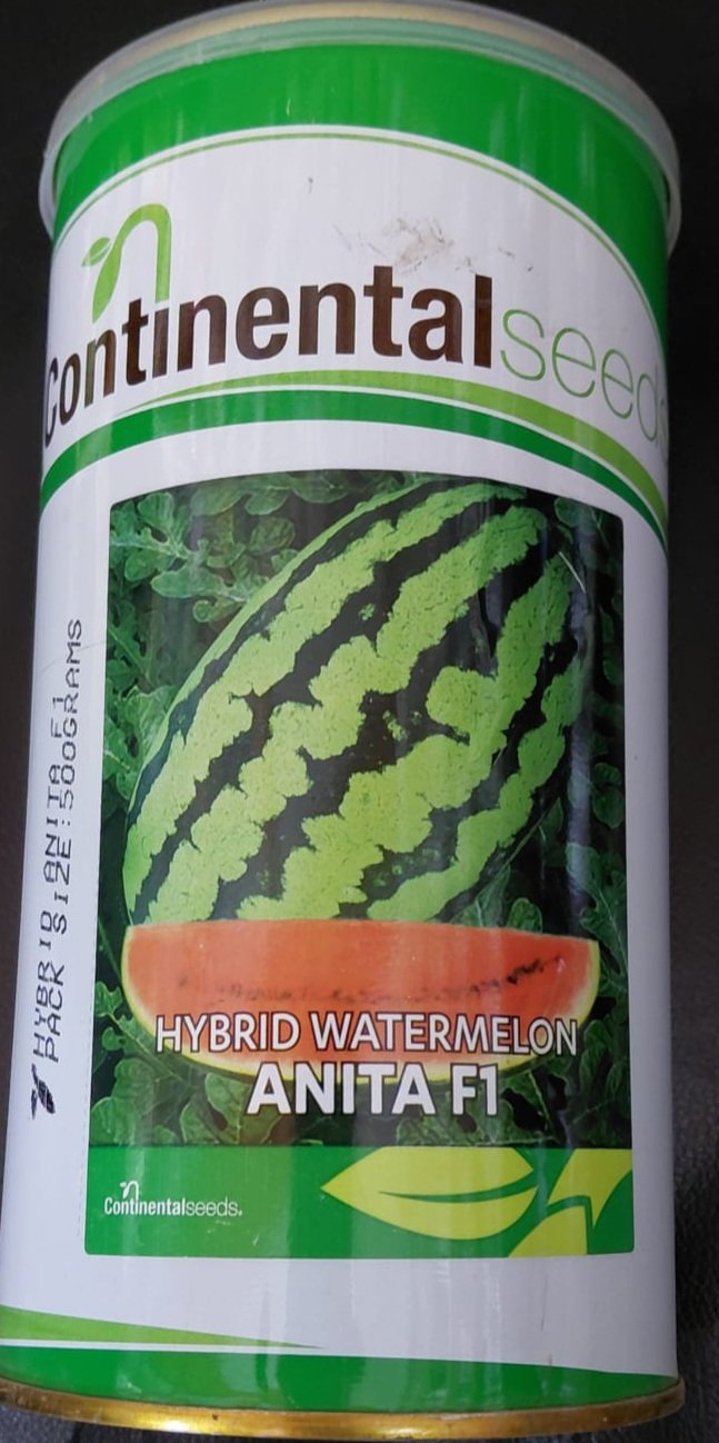 WATERMELON ANITA F1 500G
