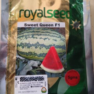 WATERMELON SWEET QUEEN F1 5G