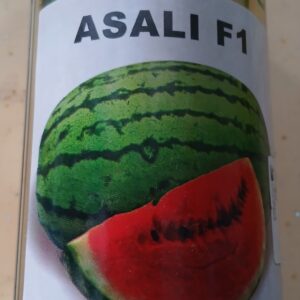 ASALI WATERMELON F1 100G