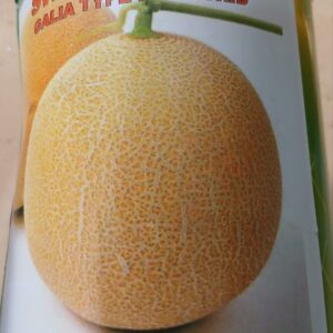 SWEET MELON GALIA F1 250G