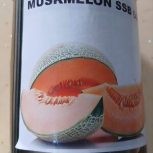 MUSK MELON ROYAL SEEDS 50G