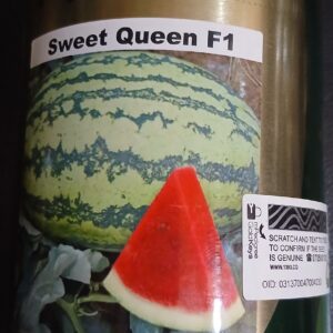 WATERMELON SWEET QUEEN F1 250G