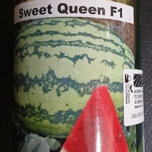 WATERMELON SWEET QUEEN F1 100G