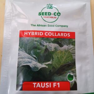 TAUSI F1 COLLARDS 50G