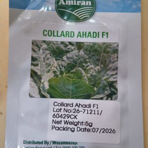AHADI F1 COLLARDS 5G