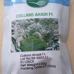AHADI F1 COLLARDS 100G
