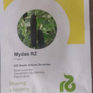 cucumber mydas f1 100seeds
