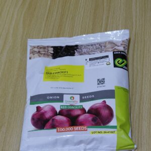 onion red couch 100000seeds