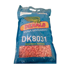 Maize DK8031  2kg