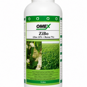 Zibo 1L