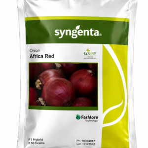 Onion African Red 50,000 seeds