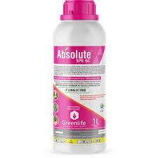 Absolute 100ml