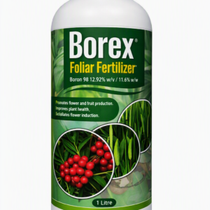 Borex 1L