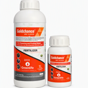 GOLDCHANCE FLOWER 1LTR