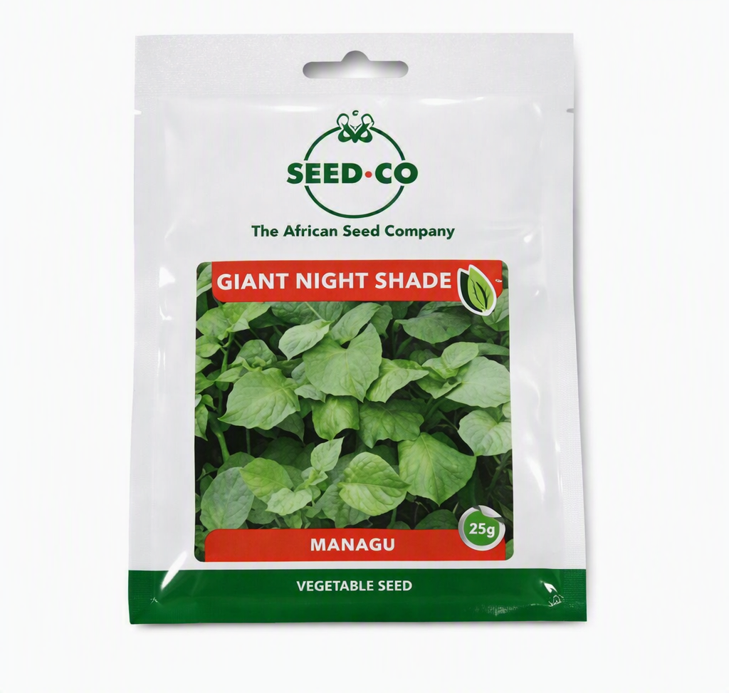 Managu Giant Night Shade 500g