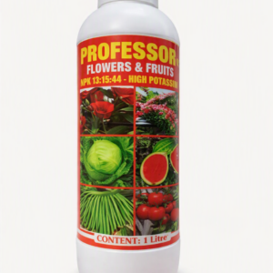 Professor K 1L