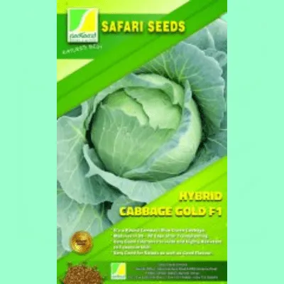 RED CABBAGE RED BALL 5GM
