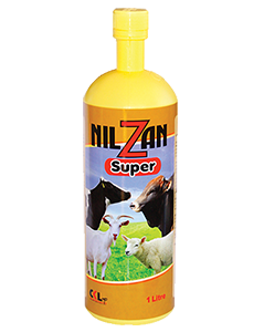 Nilzan Super