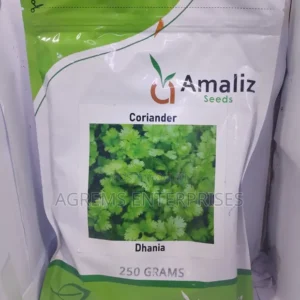 DHANIA AMIR 10G