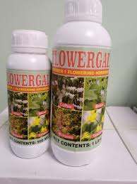 Flowergal 100ml