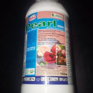 PEARL 1L