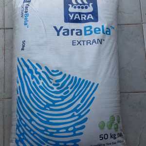 CAN 50KG