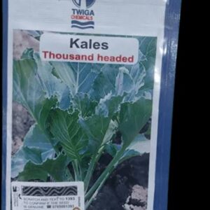 KALE 10G TWIGA