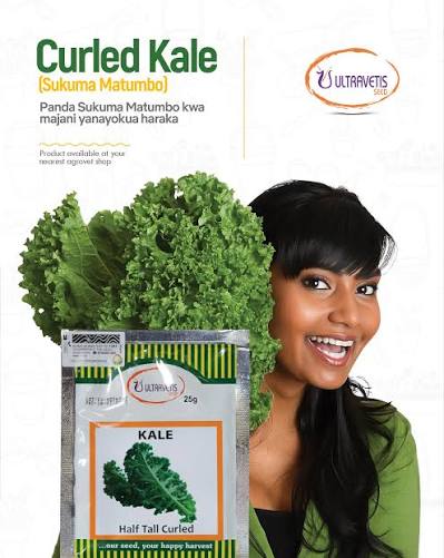 KALE SIM 50G