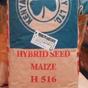 MAIZE HB 516 2KG