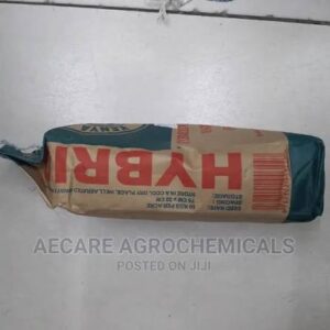 MAIZE H KIONGOZI 2KG