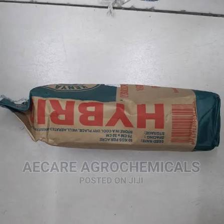 MAIZE HB 6218 2KG