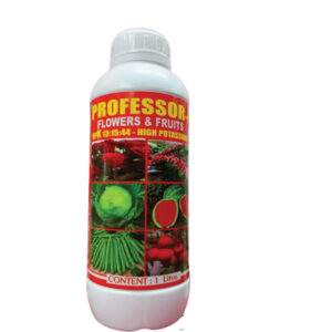 PROFFESOR K 1L