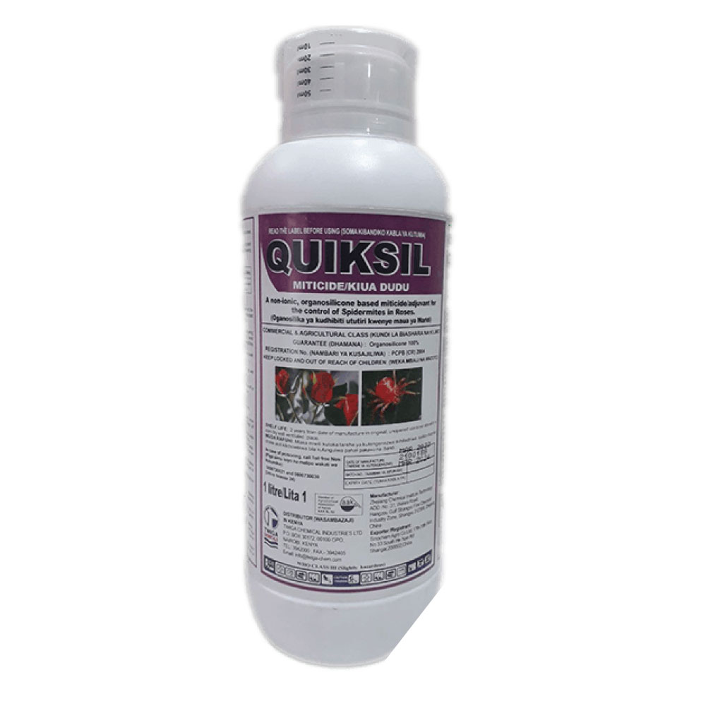 QUIKSIL 1L