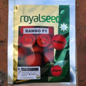 TOMATO RAMBO 25G