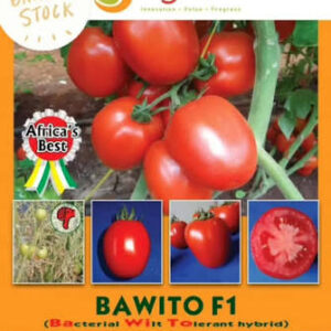 TOMATO BAWITO 50G