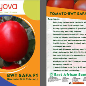 TOMATO SAFA 50G