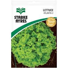 Lettuce Atlantis Pkt