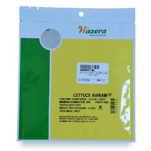 Lettuce Aviram 2500 seeds