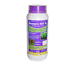 BeanPro 1ltr