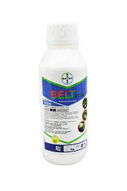 Belt 250ml