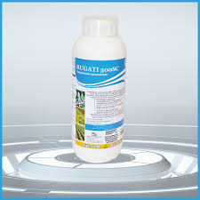 Bugati 500ml