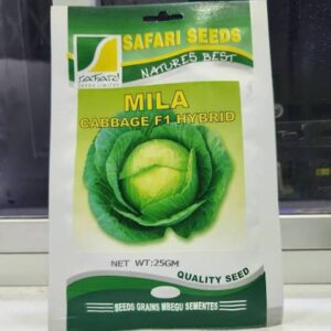 CABBAGE MILA F1  25g SAFARI SEEDS