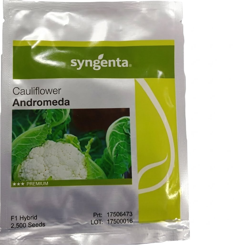 Cauliflower Adromeda 1000 seeds