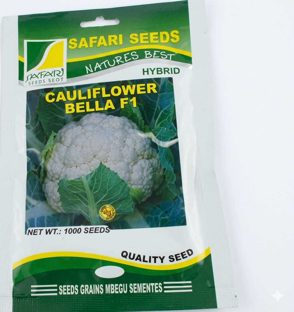 Cauliflower Bella 100 seeds