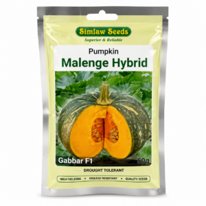 Pumpkin Gabber 10g